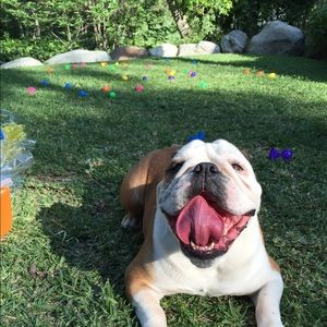 Meet your Posher, Maria